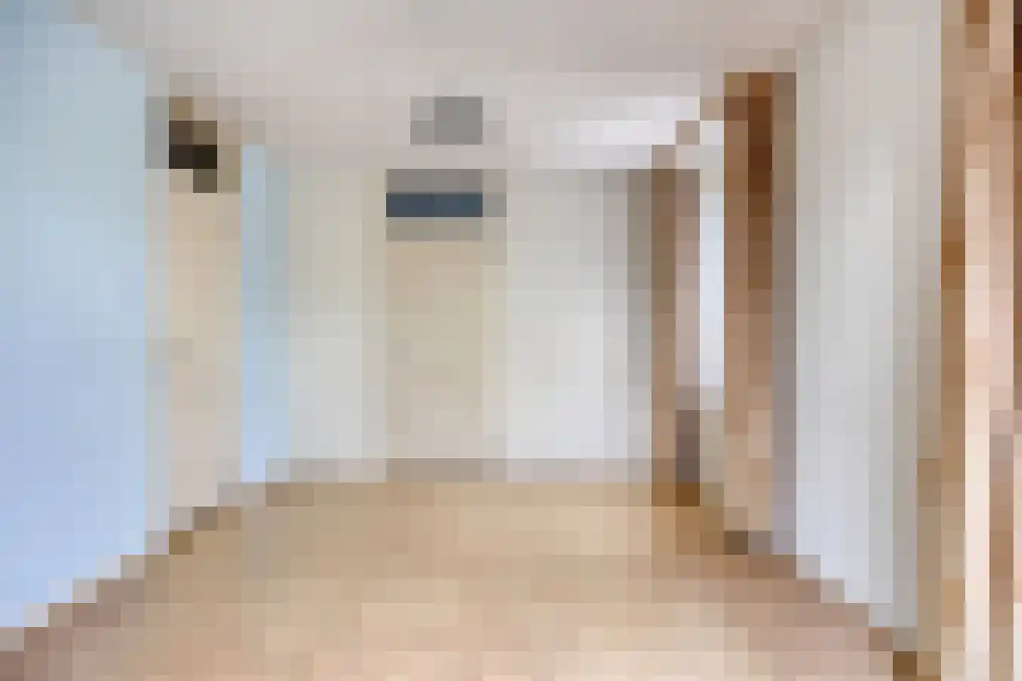 Raadhuisstraat 6 Best thumbnail 27