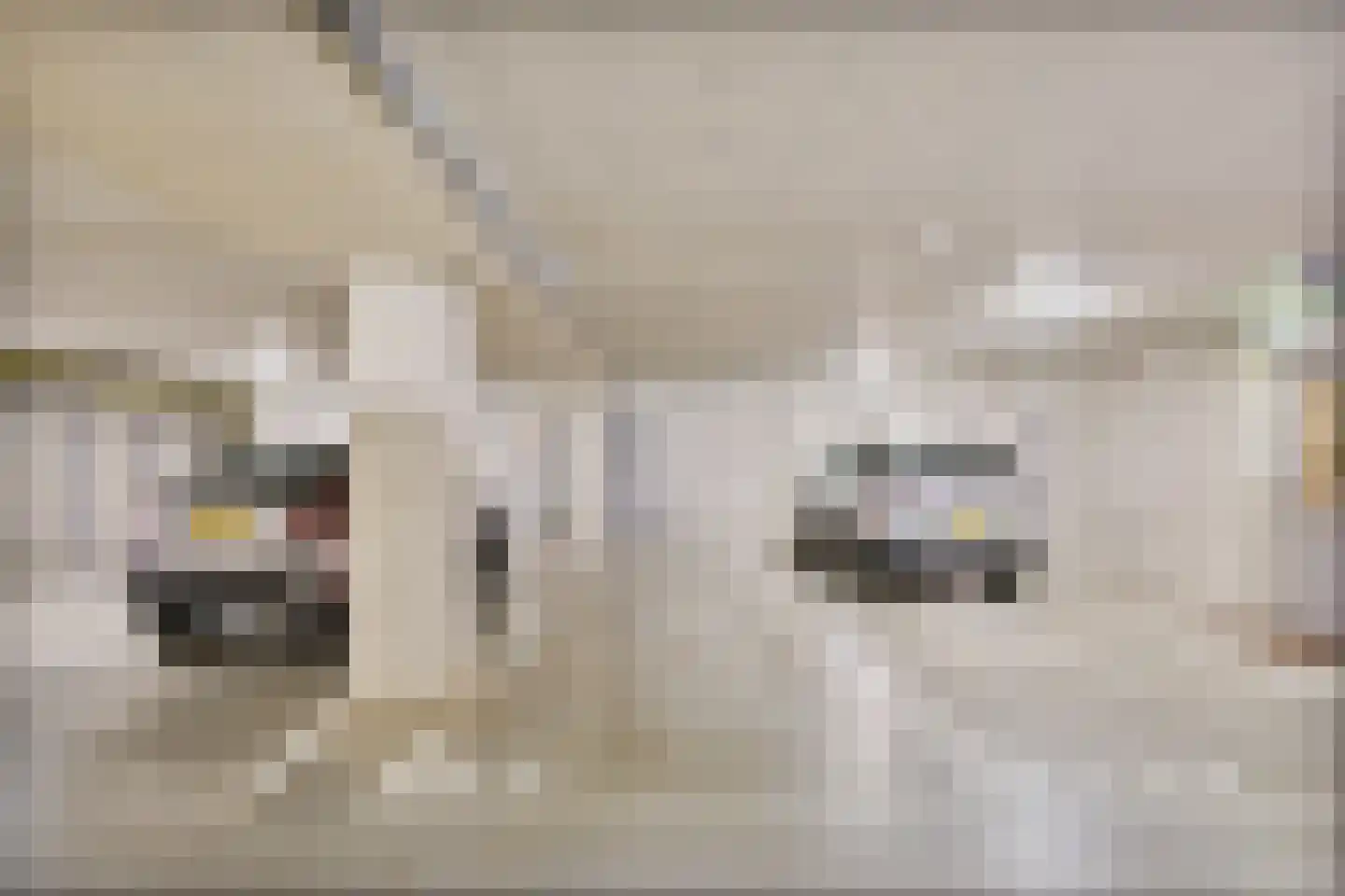Raadhuisstraat 6 Best thumbnail 38