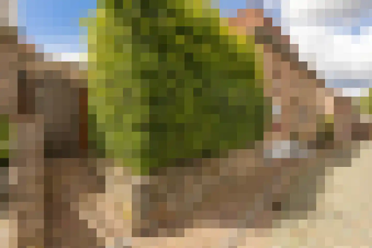 Raadhuisstraat 6 Elsloo thumbnail 11