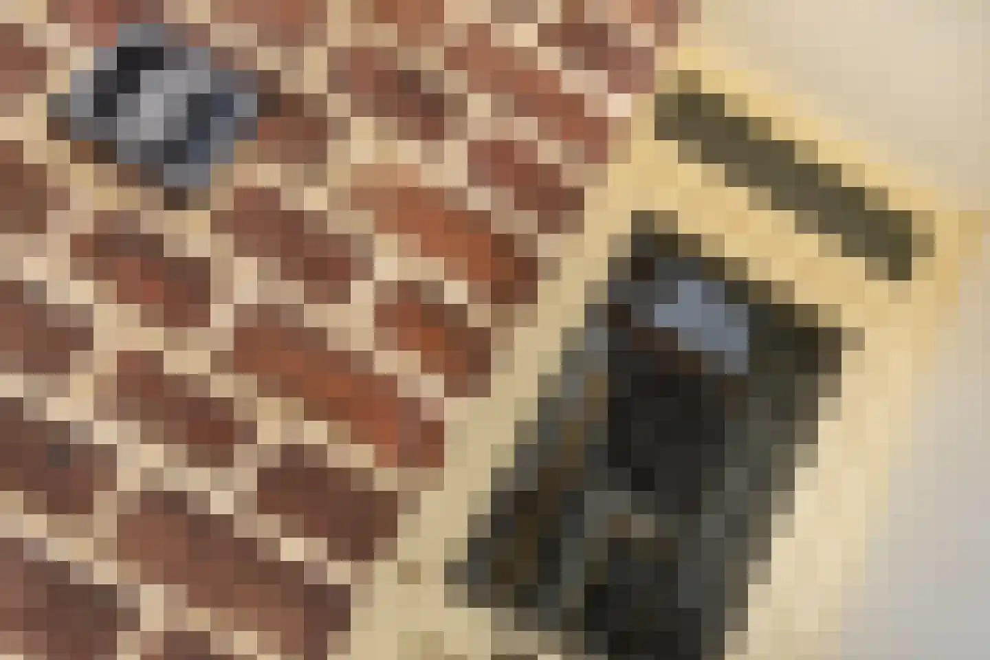 Raadhuisstraat 6 Elsloo thumbnail 13