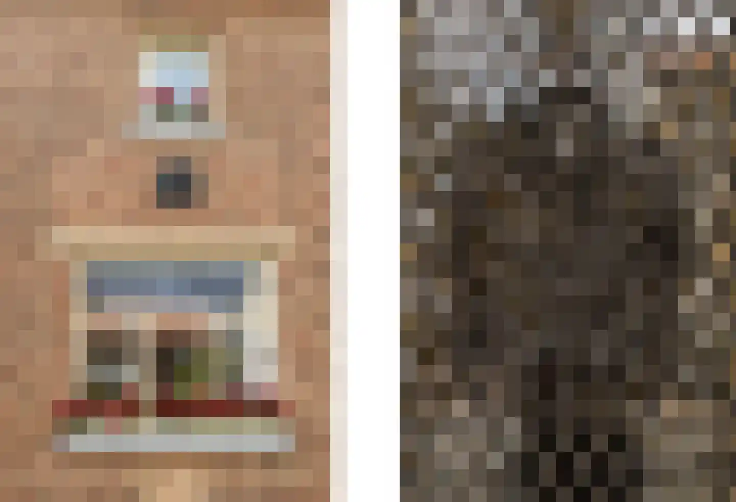 Raadhuisstraat 6 Elsloo thumbnail 14