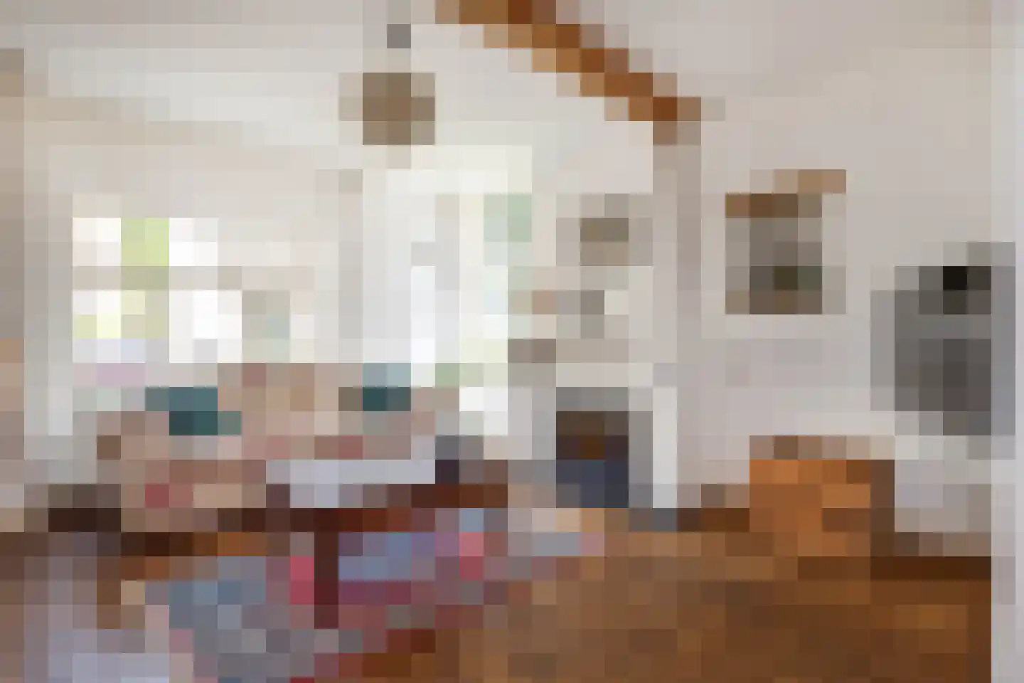 Raadhuisstraat 6 Elsloo thumbnail 17