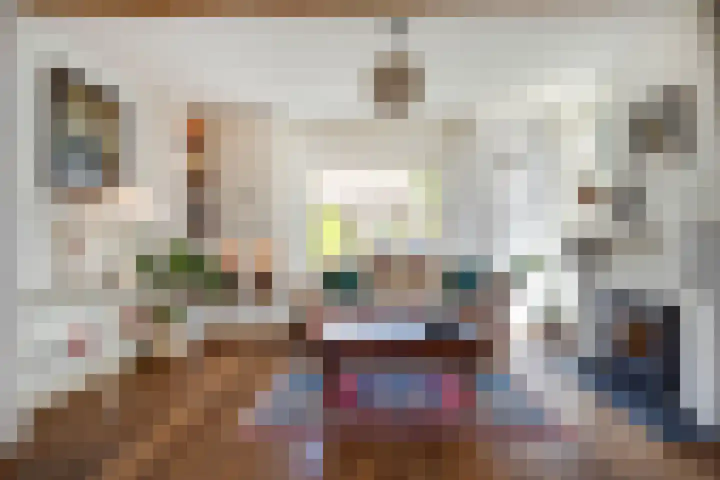Raadhuisstraat 6 Elsloo thumbnail 18
