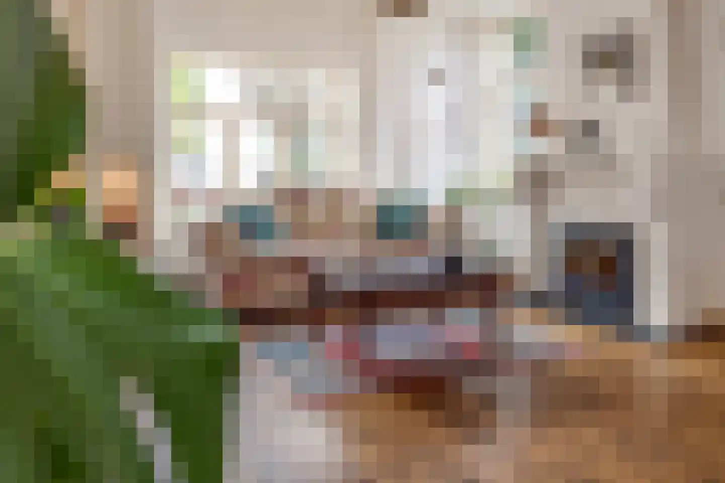 Raadhuisstraat 6 Elsloo thumbnail 19