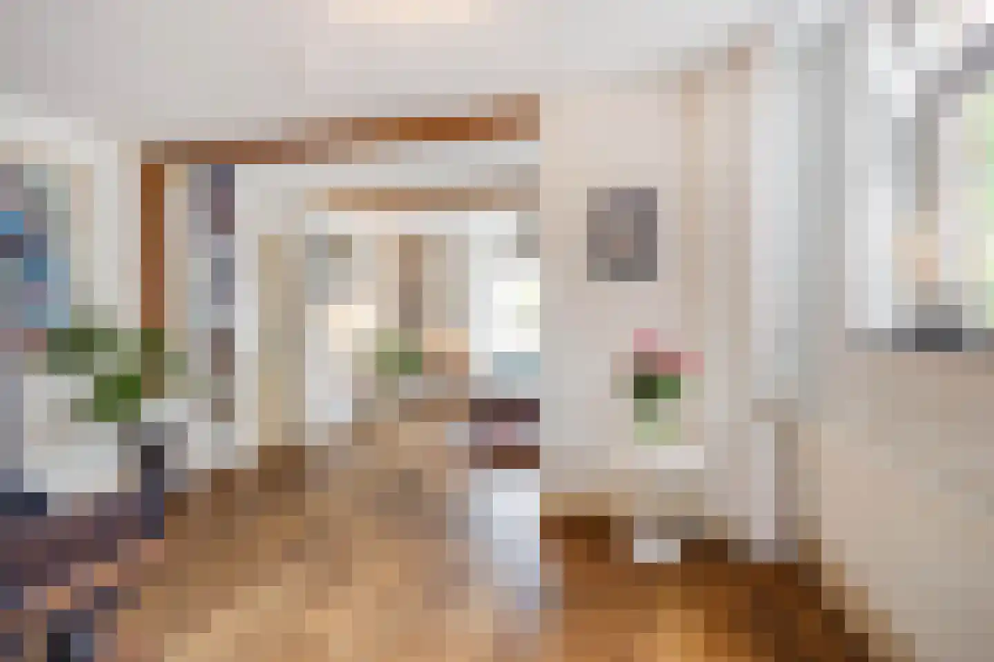 Raadhuisstraat 6 Elsloo thumbnail 20