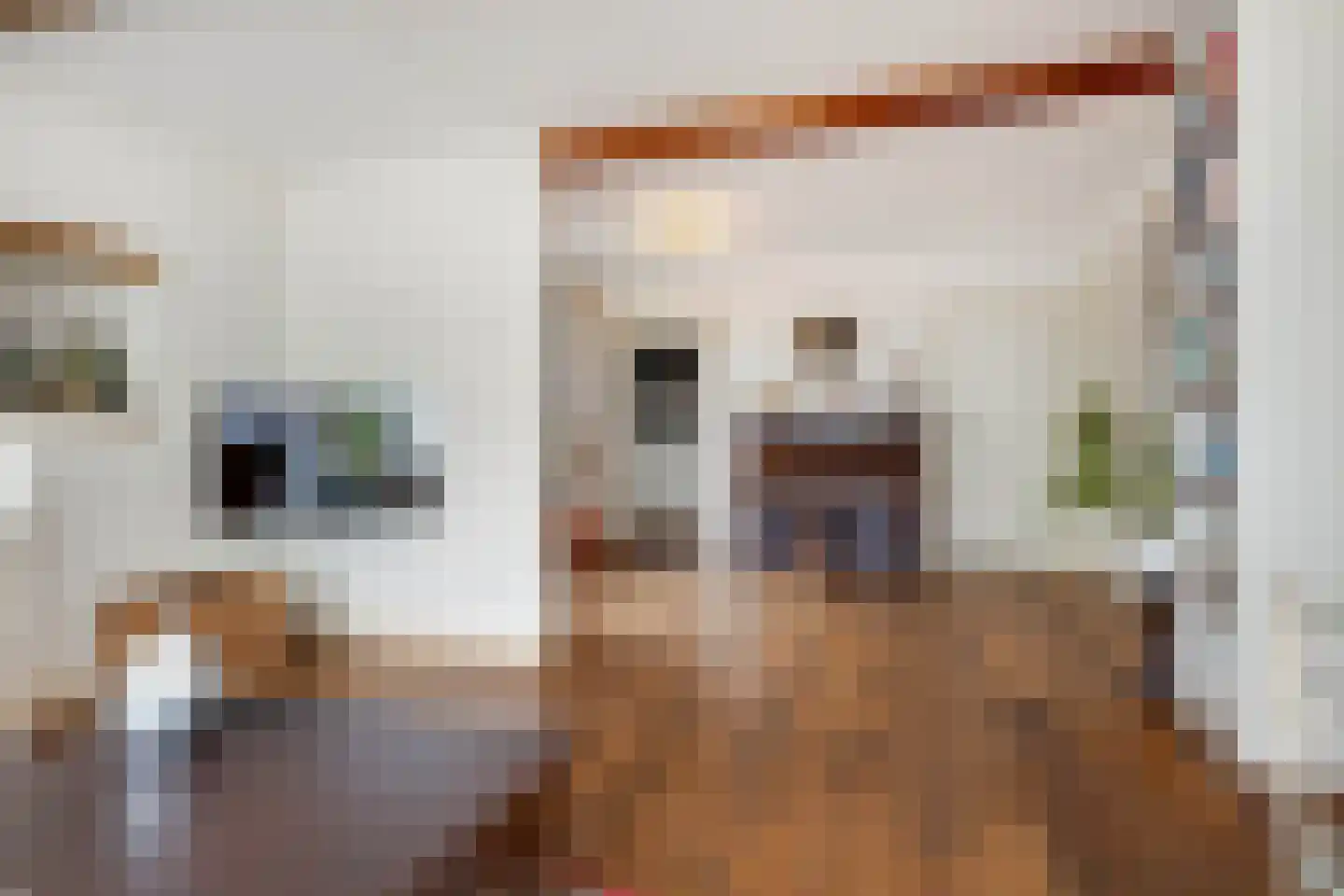 Raadhuisstraat 6 Elsloo thumbnail 21