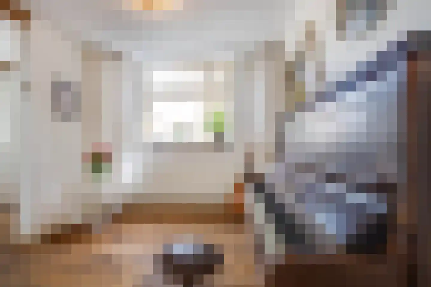 Raadhuisstraat 6 Elsloo thumbnail 23