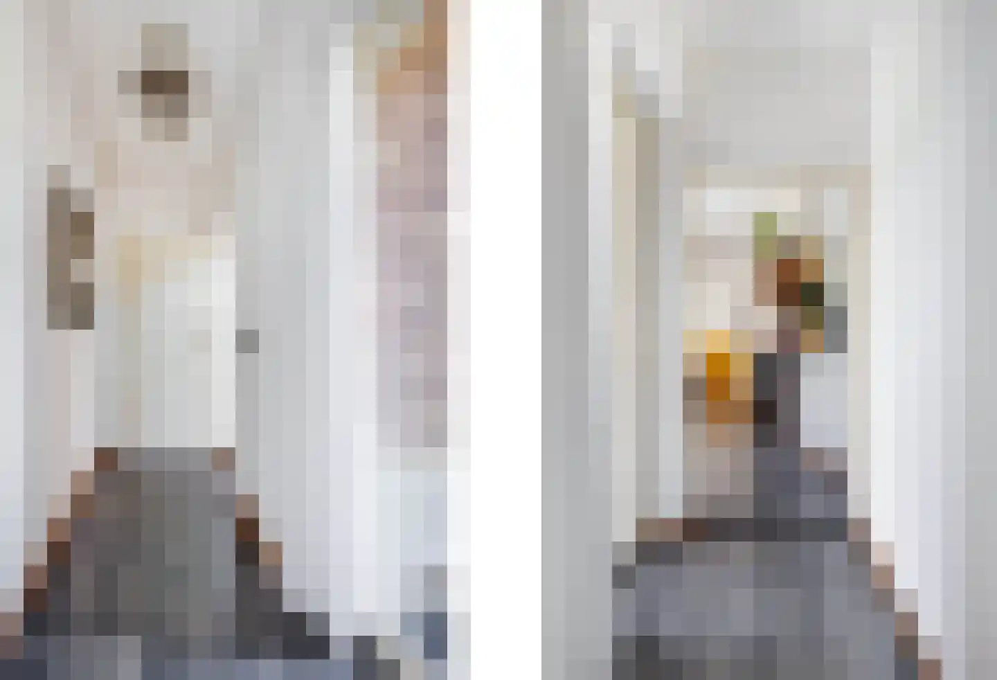 Raadhuisstraat 6 Elsloo thumbnail 24
