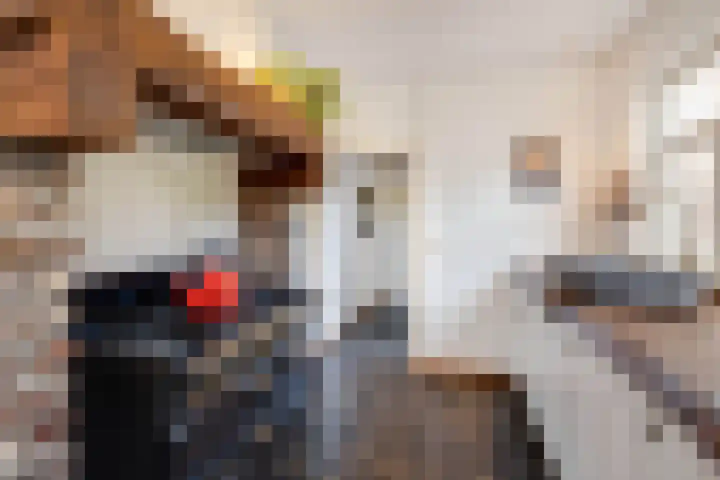 Raadhuisstraat 6 Elsloo thumbnail 26