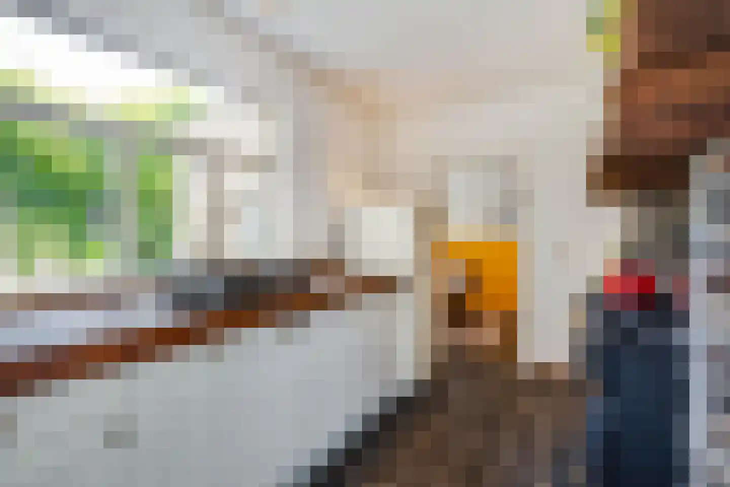 Raadhuisstraat 6 Elsloo thumbnail 27