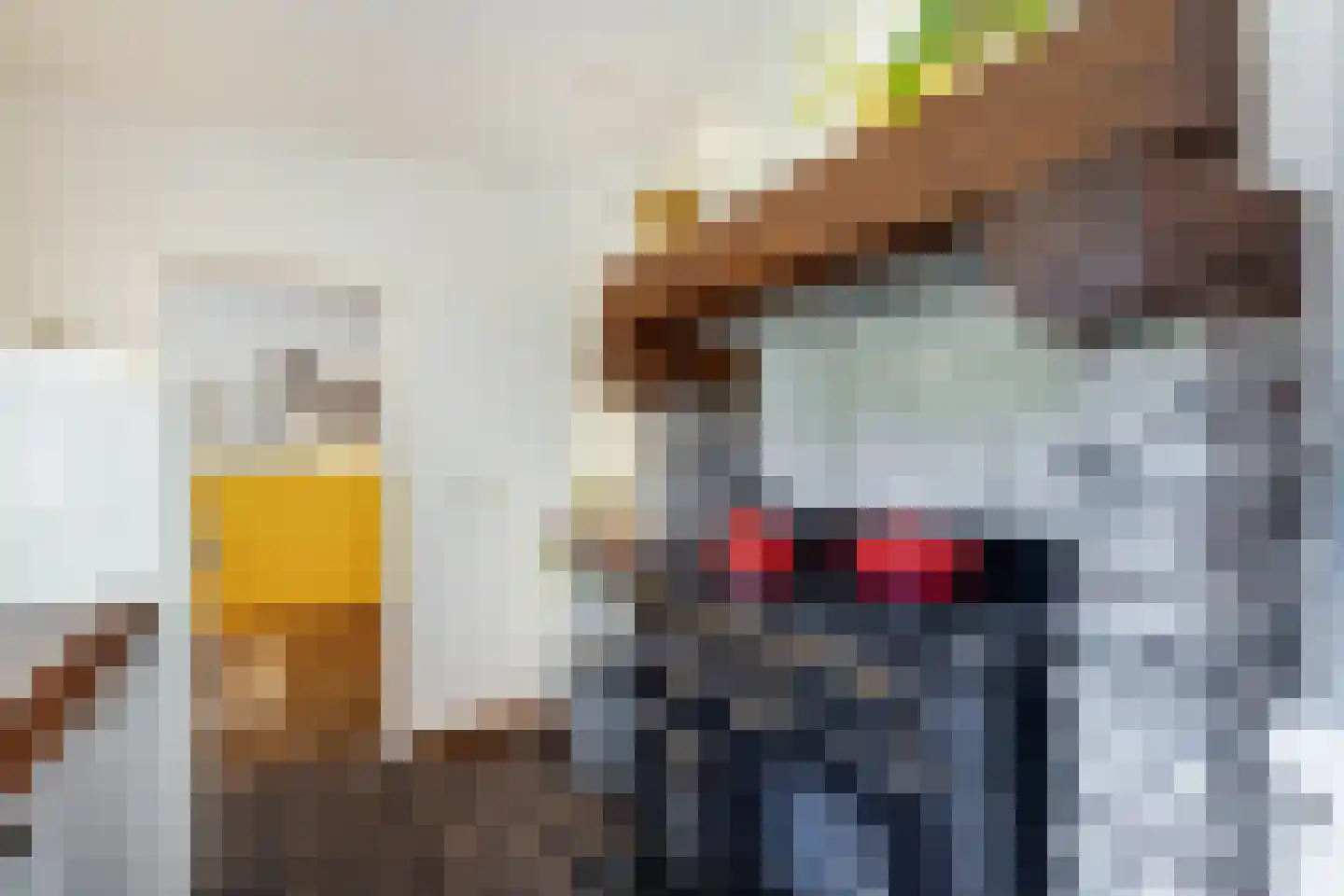 Raadhuisstraat 6 Elsloo thumbnail 28