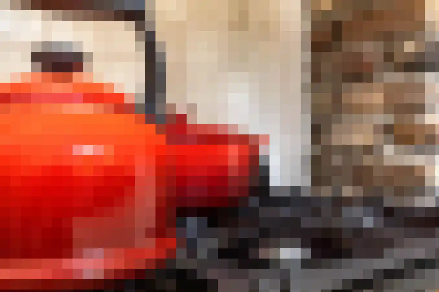 Raadhuisstraat 6 Elsloo thumbnail 31
