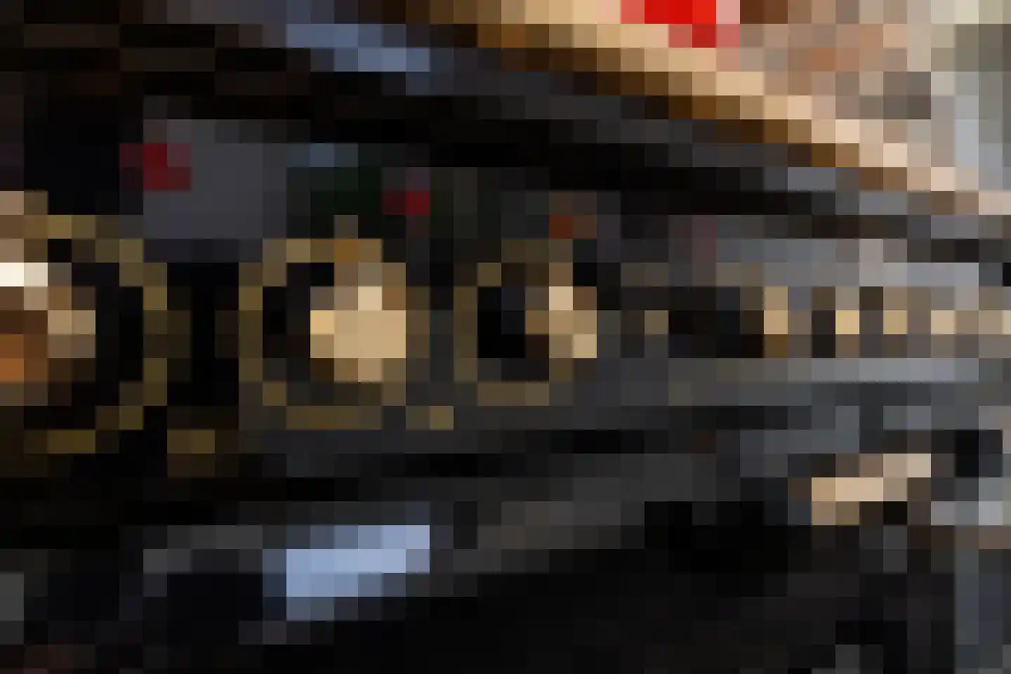 Raadhuisstraat 6 Elsloo thumbnail 33