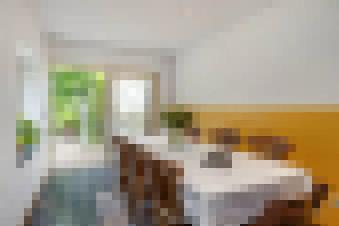 Raadhuisstraat 6 Elsloo thumbnail 34