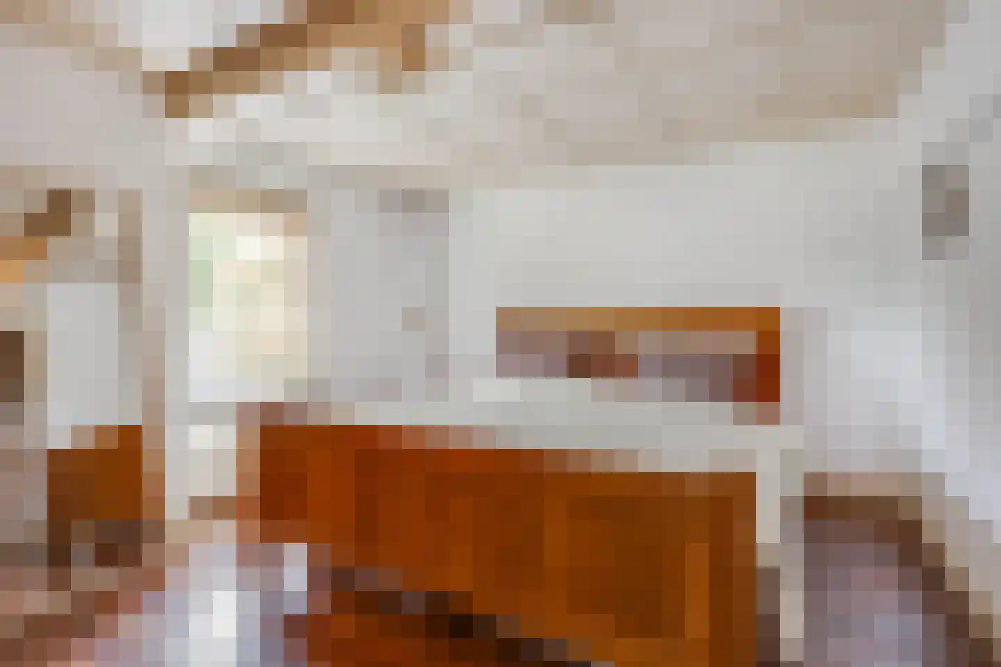 Raadhuisstraat 6 Elsloo thumbnail 37