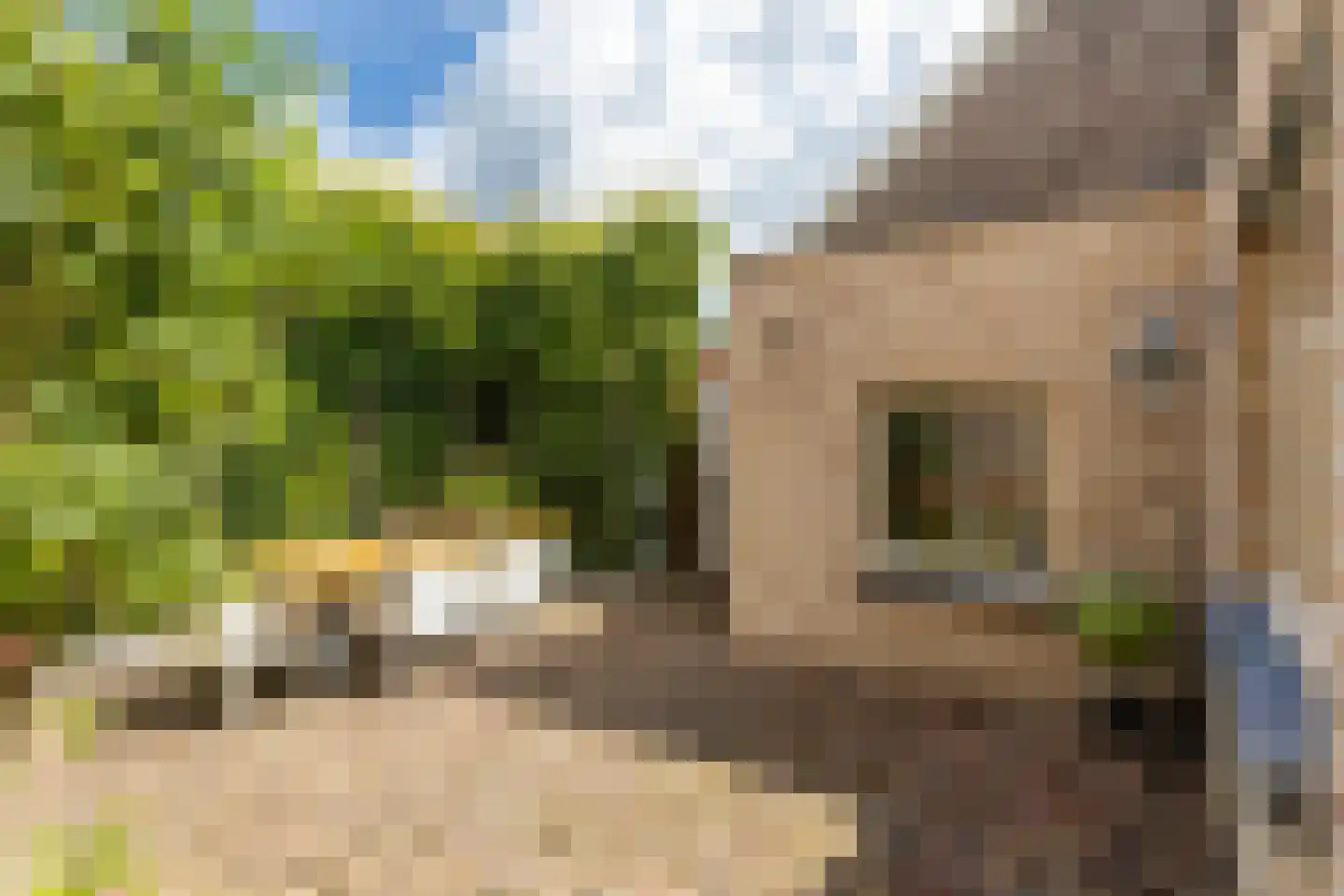 Raadhuisstraat 6 Elsloo thumbnail 4