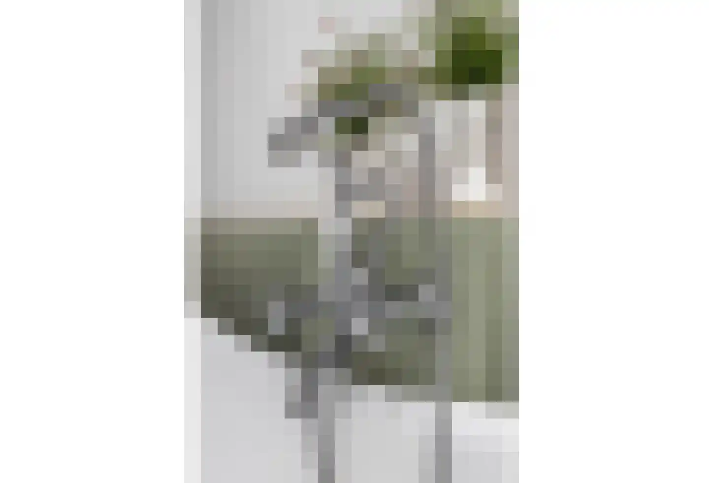 Raadhuisstraat 6 Elsloo thumbnail 41