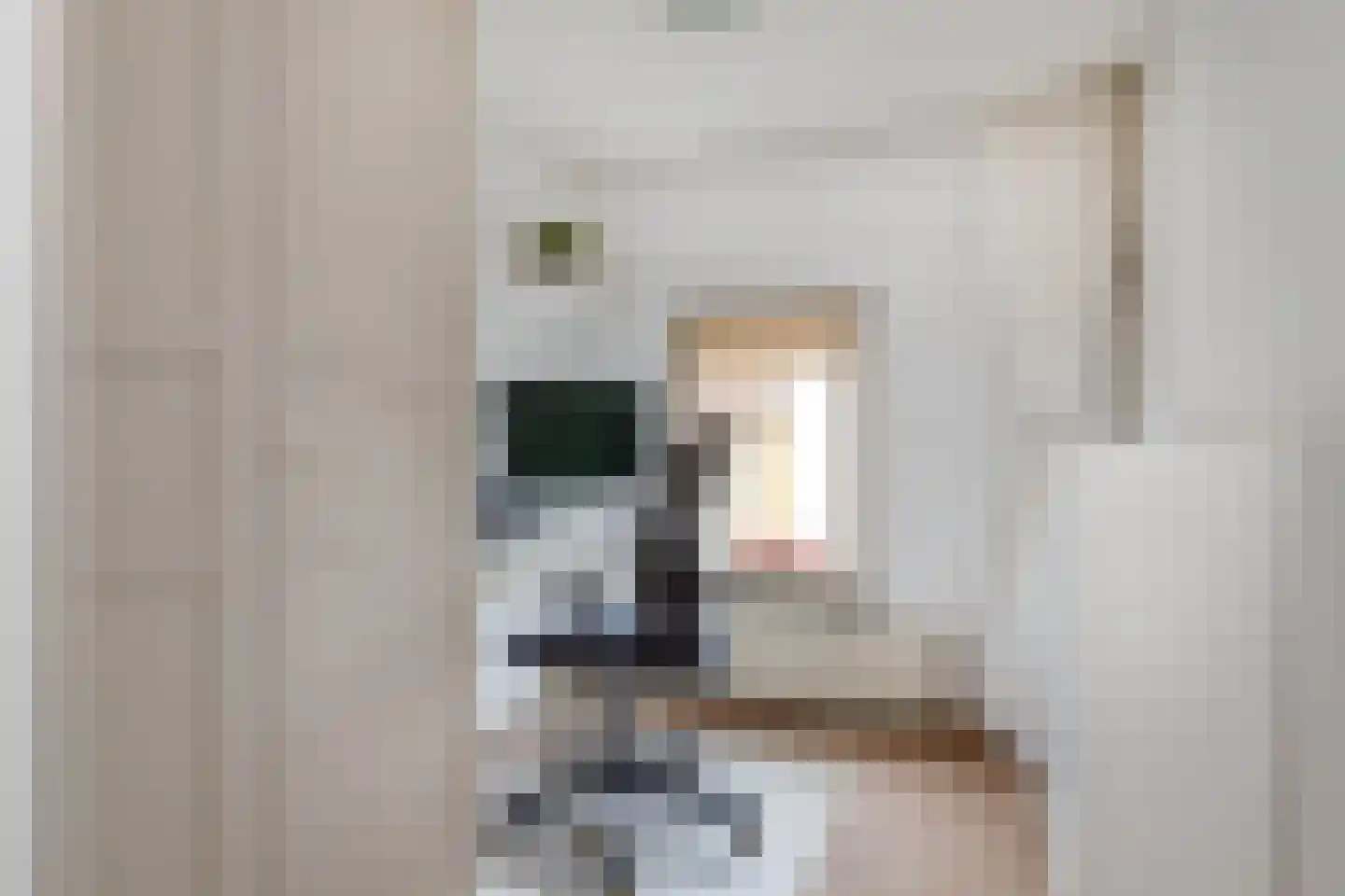 Raadhuisstraat 6 Elsloo thumbnail 42