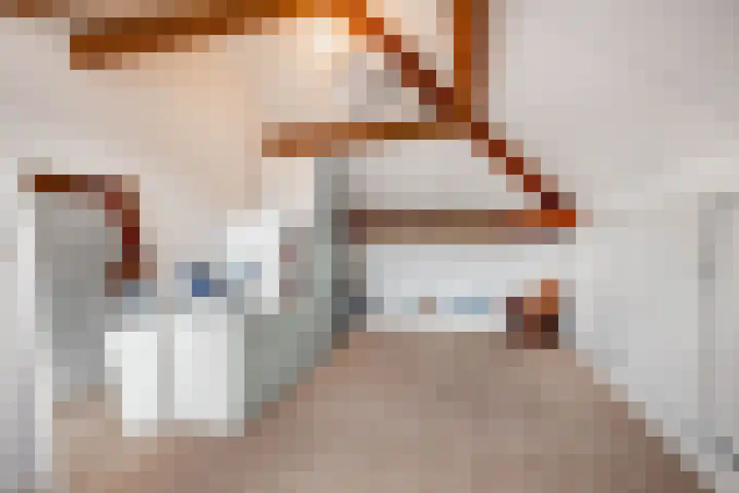 Raadhuisstraat 6 Elsloo thumbnail 43