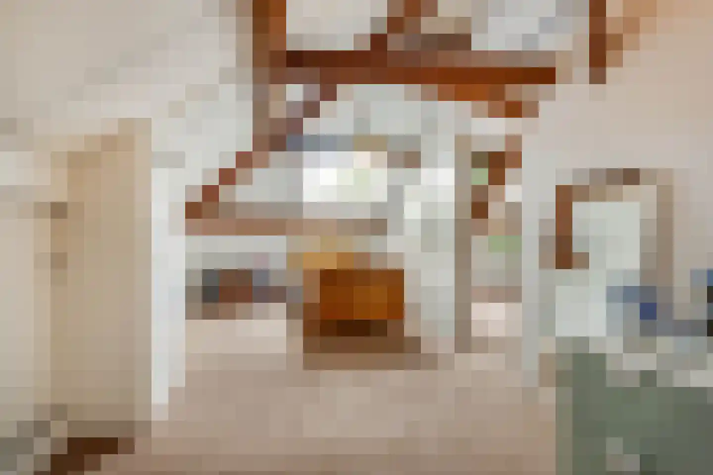 Raadhuisstraat 6 Elsloo thumbnail 44