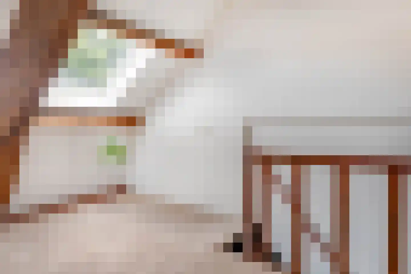 Raadhuisstraat 6 Elsloo thumbnail 45