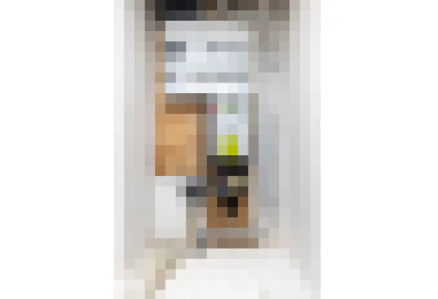 Raadhuisstraat 6 Elsloo thumbnail 46