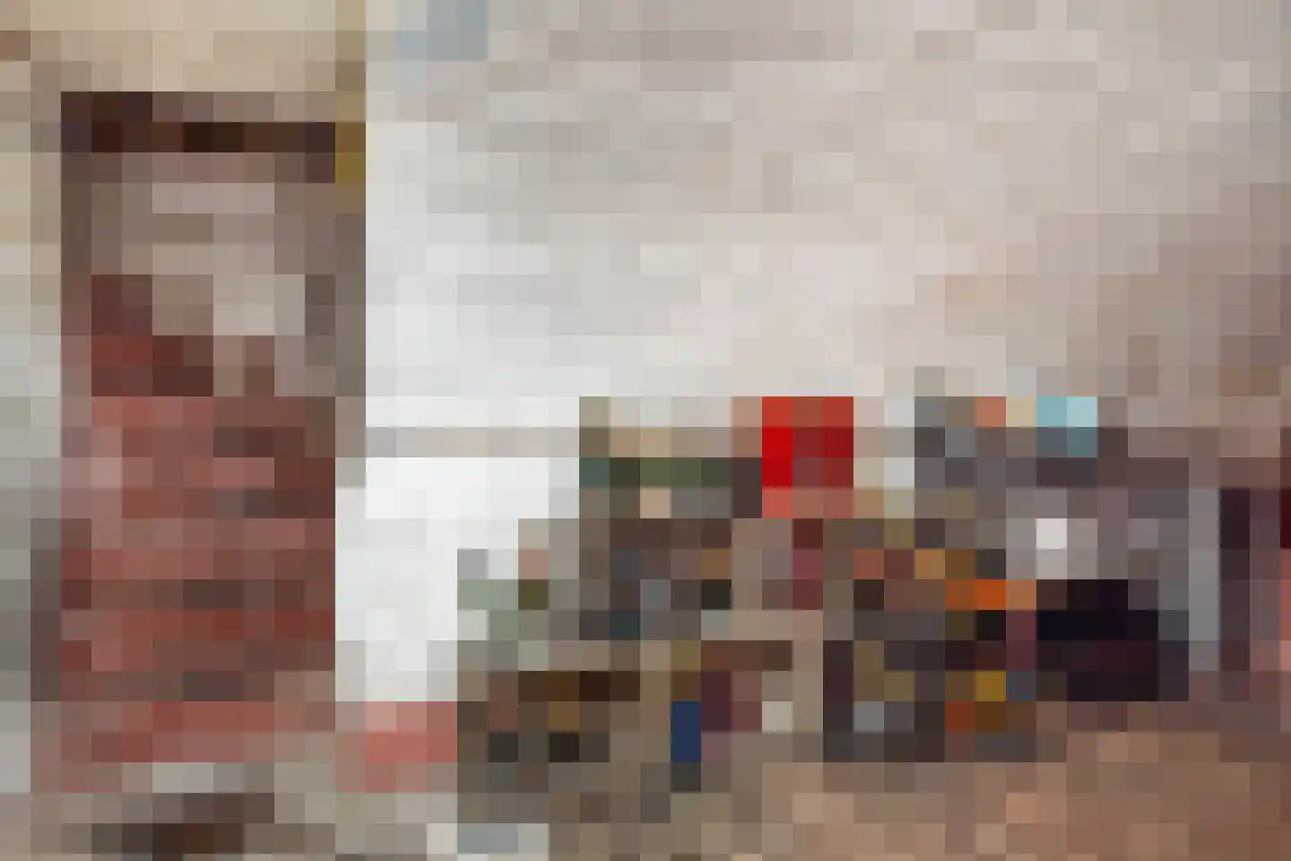 Raadhuisstraat 6 Elsloo thumbnail 50