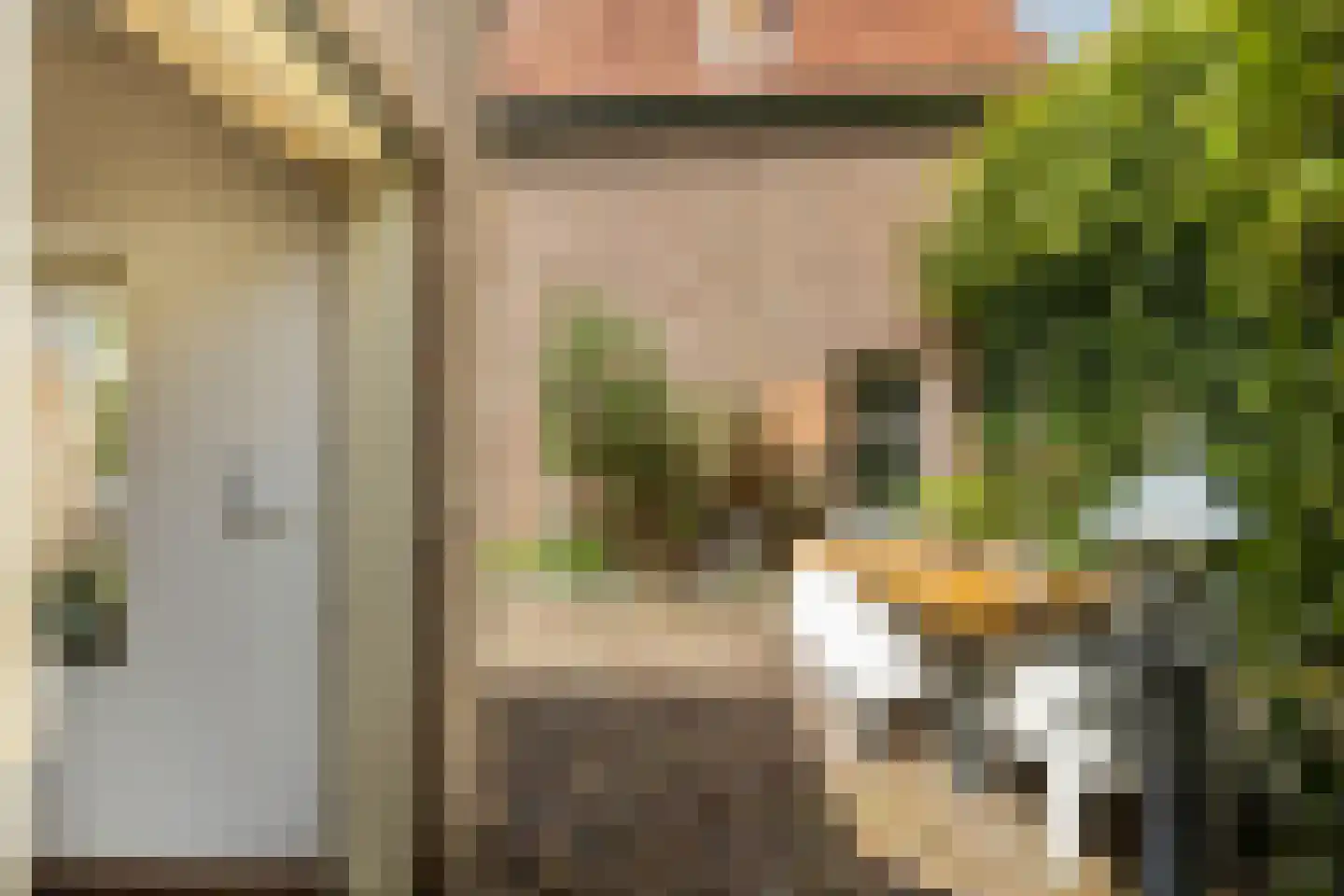 Raadhuisstraat 6 Elsloo thumbnail 52