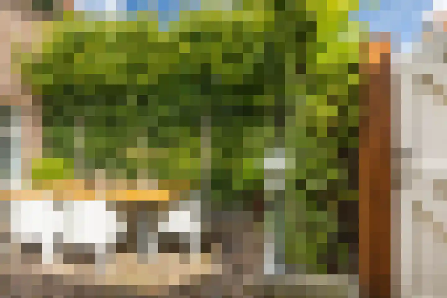 Raadhuisstraat 6 Elsloo thumbnail 53