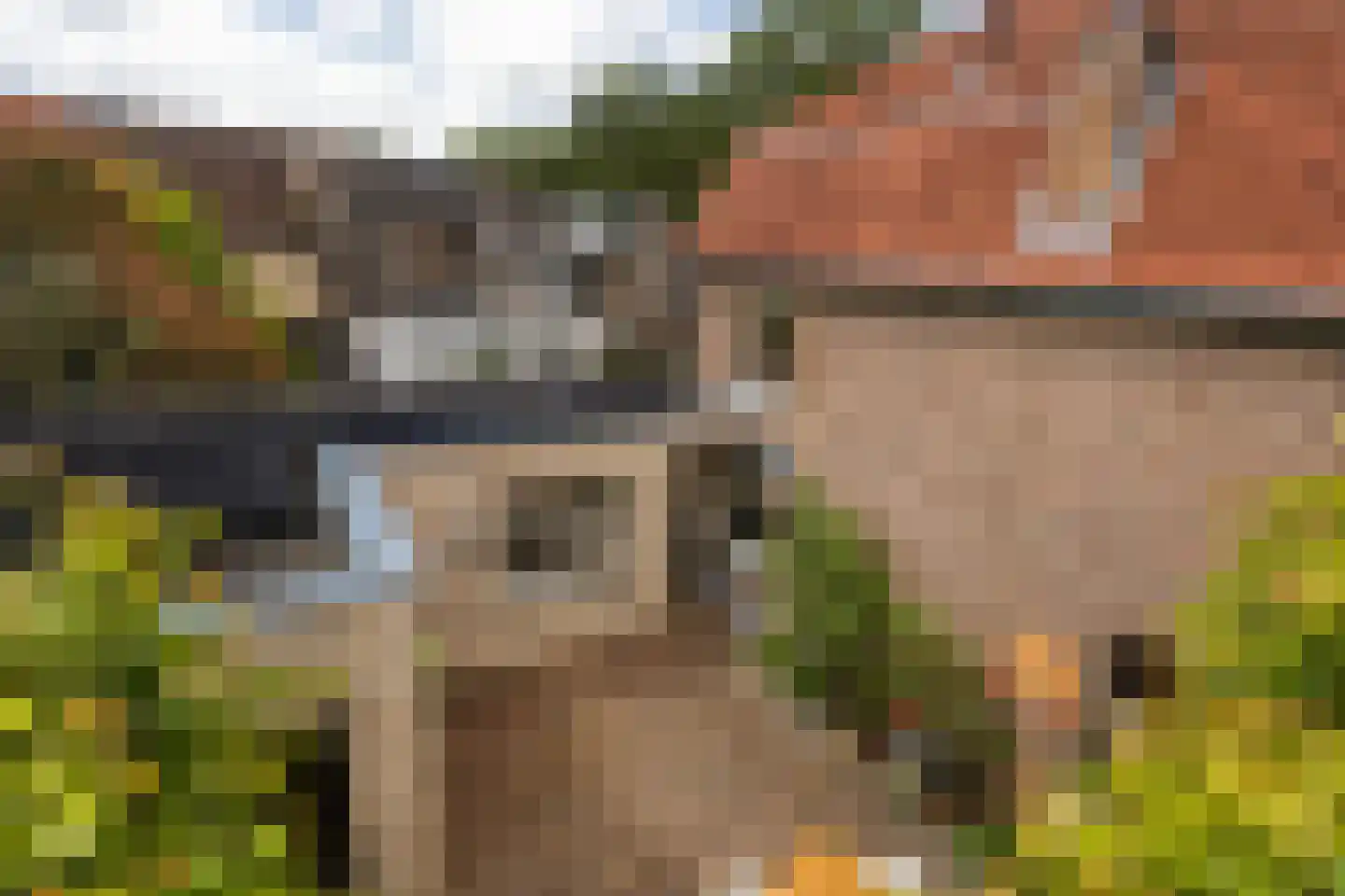 Raadhuisstraat 6 Elsloo thumbnail 54