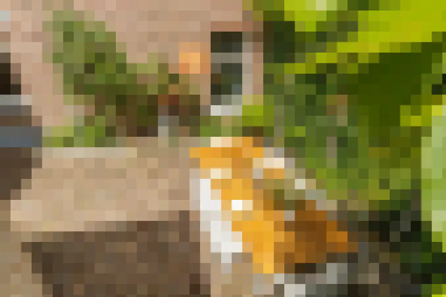 Raadhuisstraat 6 Elsloo thumbnail 55