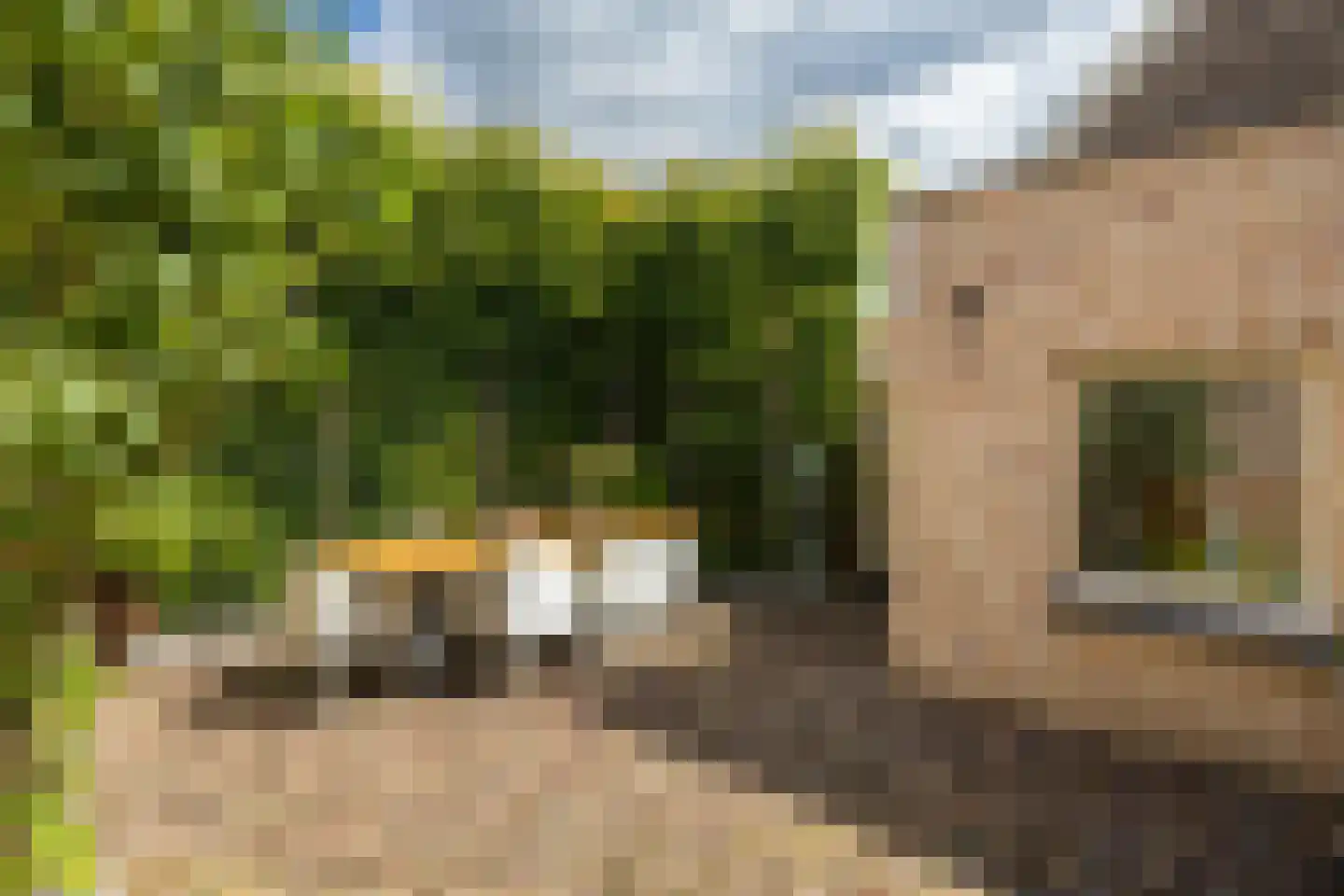 Raadhuisstraat 6 Elsloo thumbnail 56