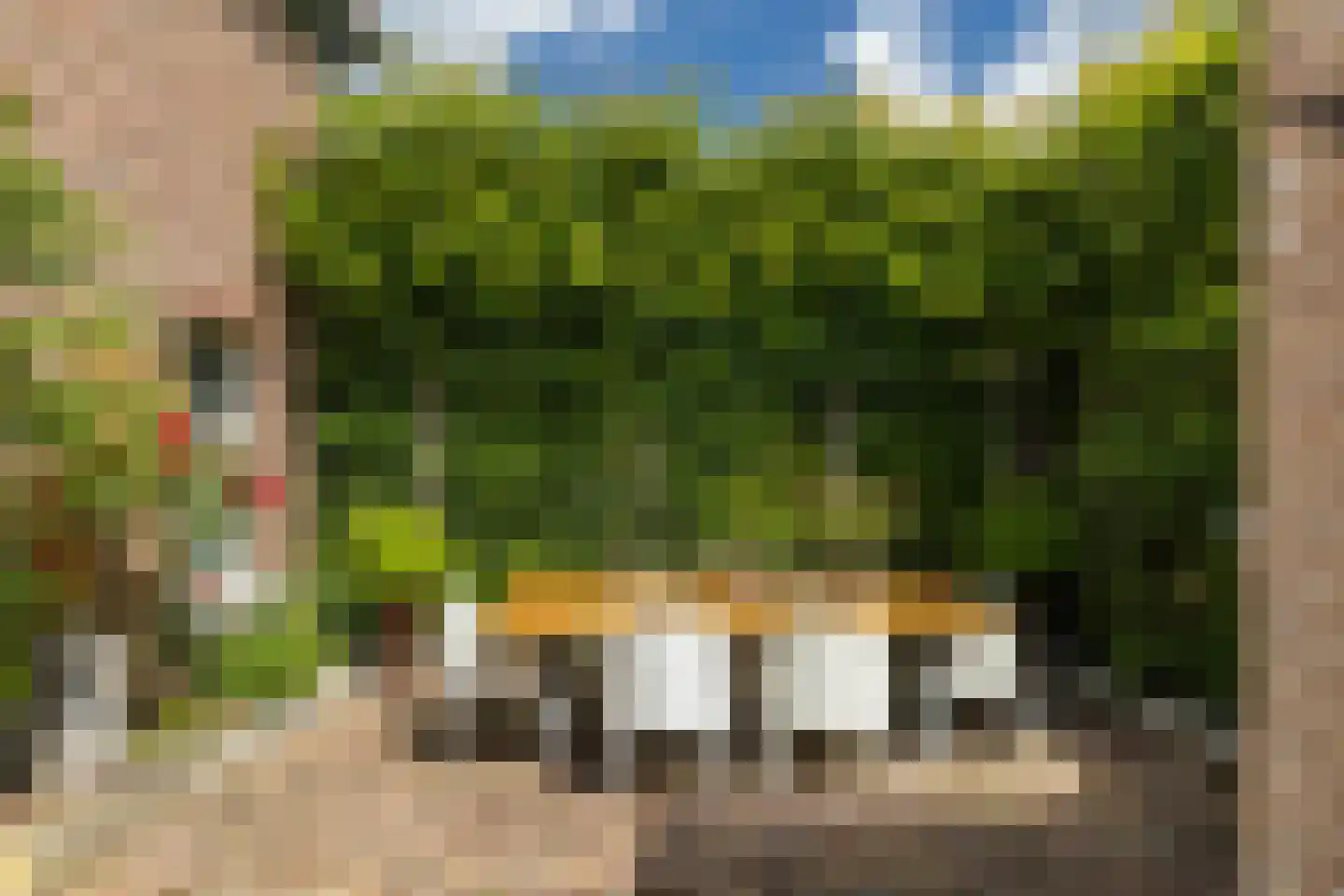 Raadhuisstraat 6 Elsloo thumbnail 57