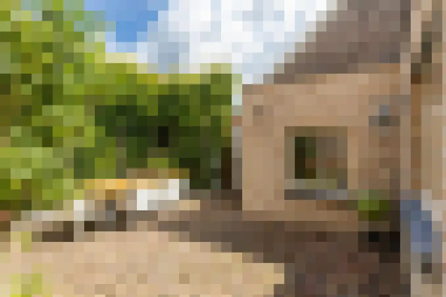 Raadhuisstraat 6 Elsloo thumbnail 58