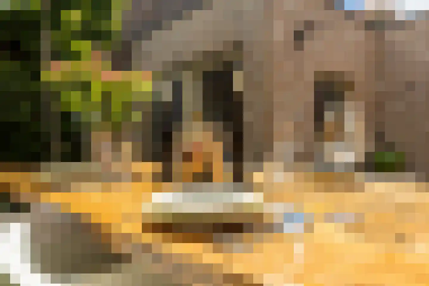 Raadhuisstraat 6 Elsloo thumbnail 60