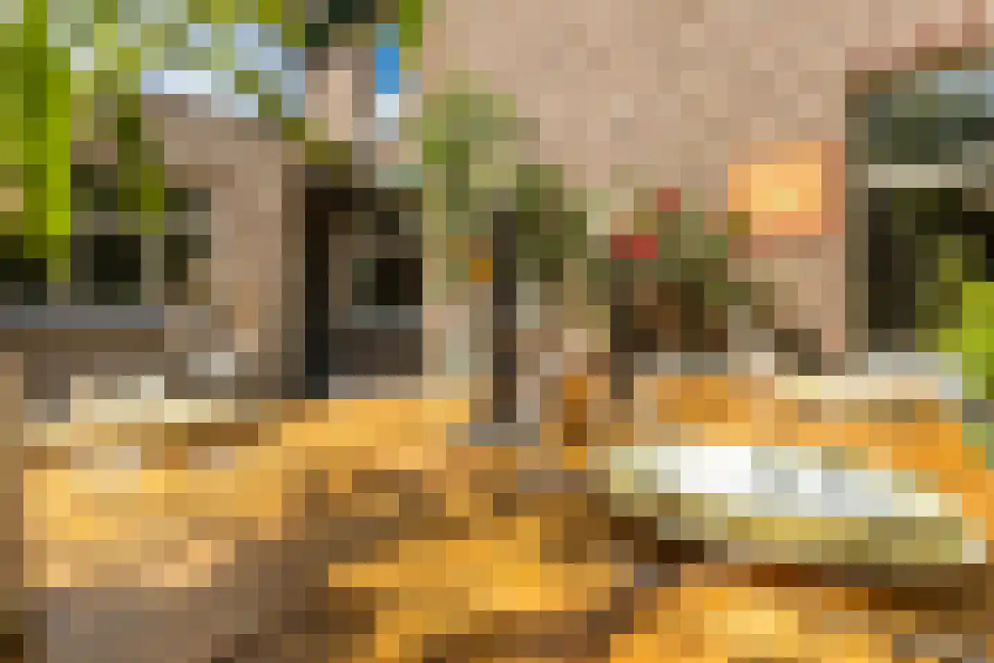 Raadhuisstraat 6 Elsloo thumbnail 62