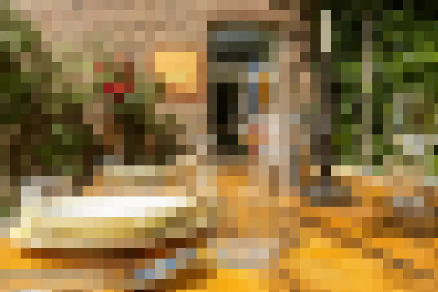 Raadhuisstraat 6 Elsloo thumbnail 63