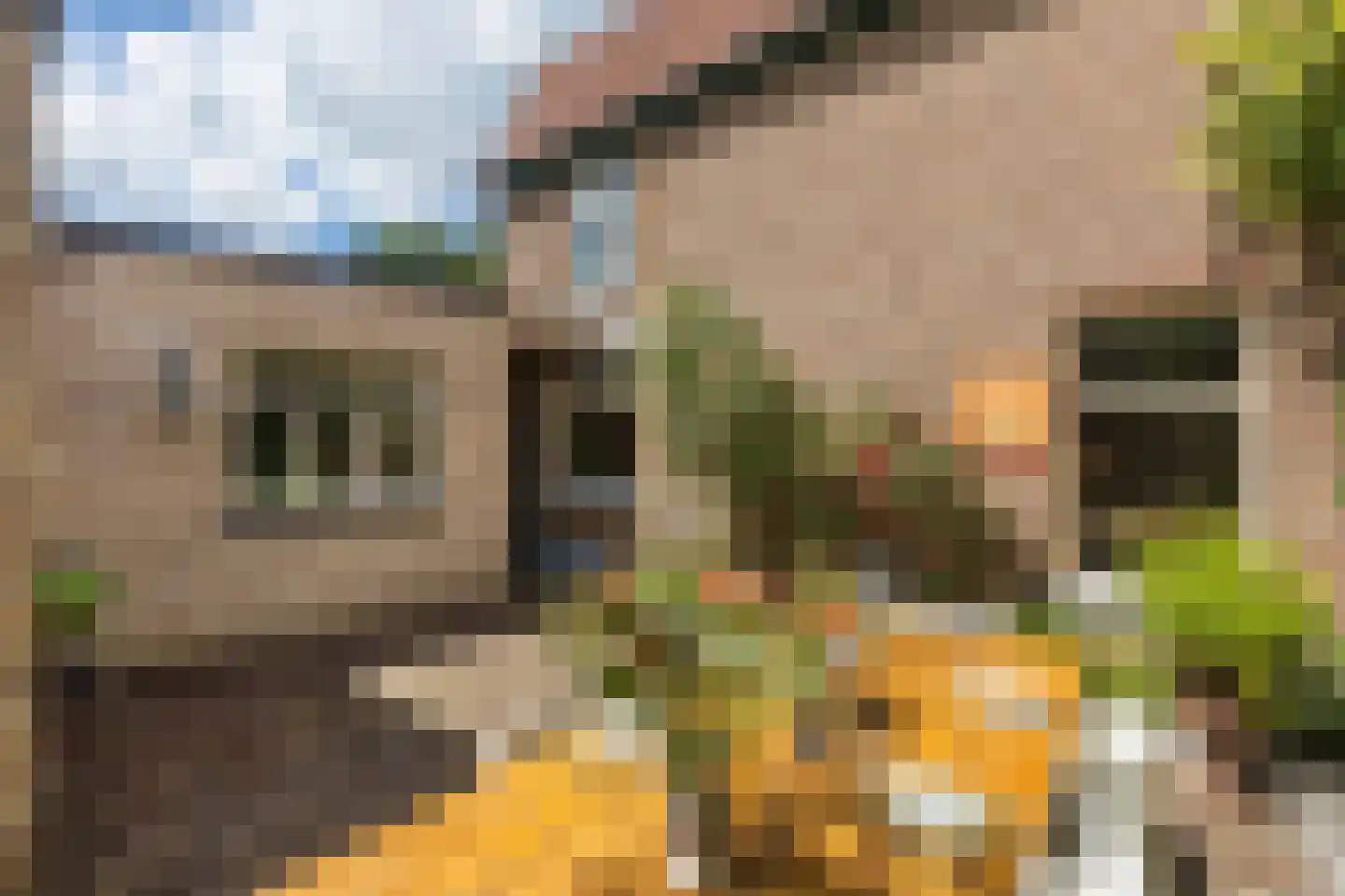 Raadhuisstraat 6 Elsloo thumbnail 64