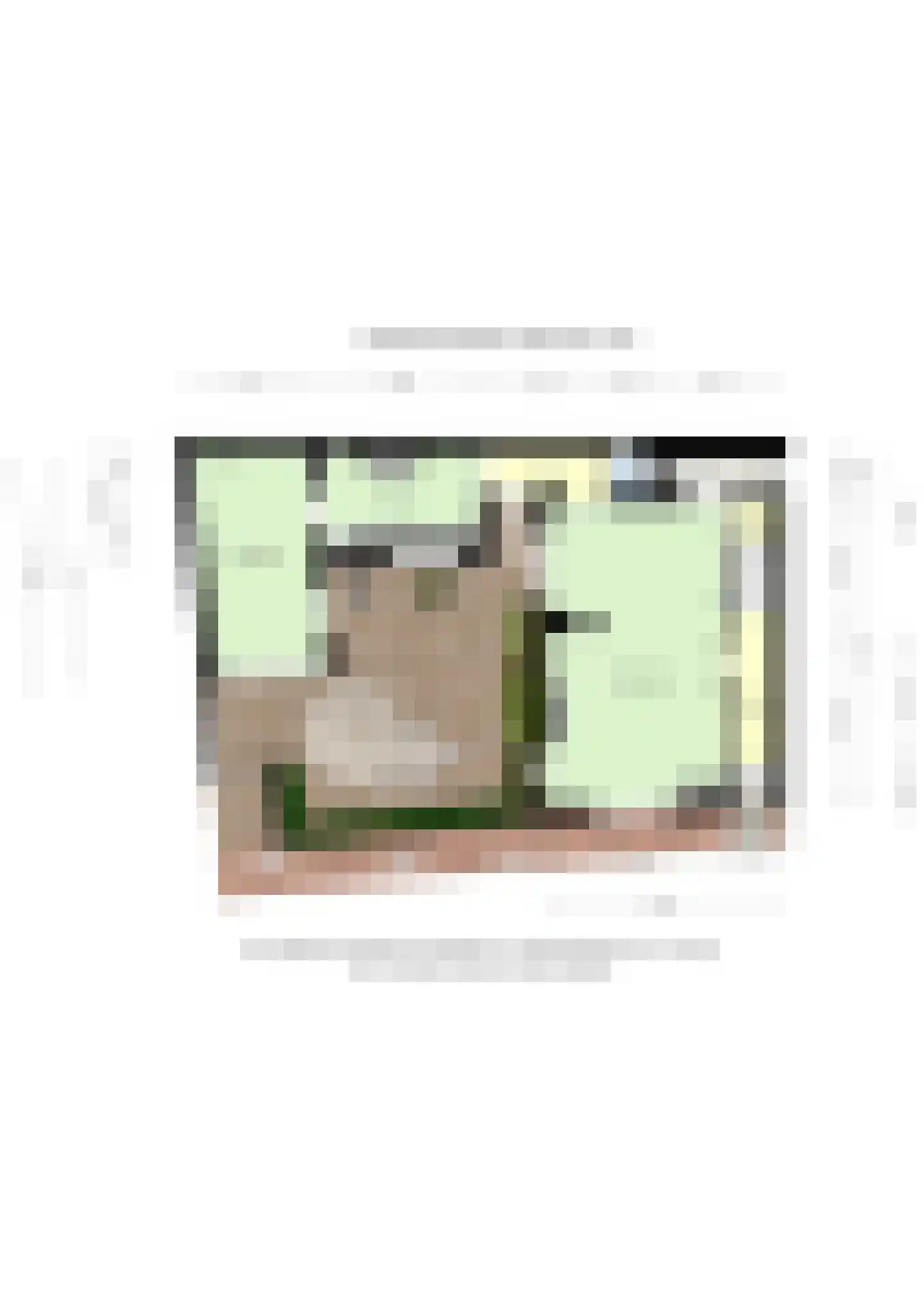 Raadhuisstraat 6 Elsloo thumbnail 66