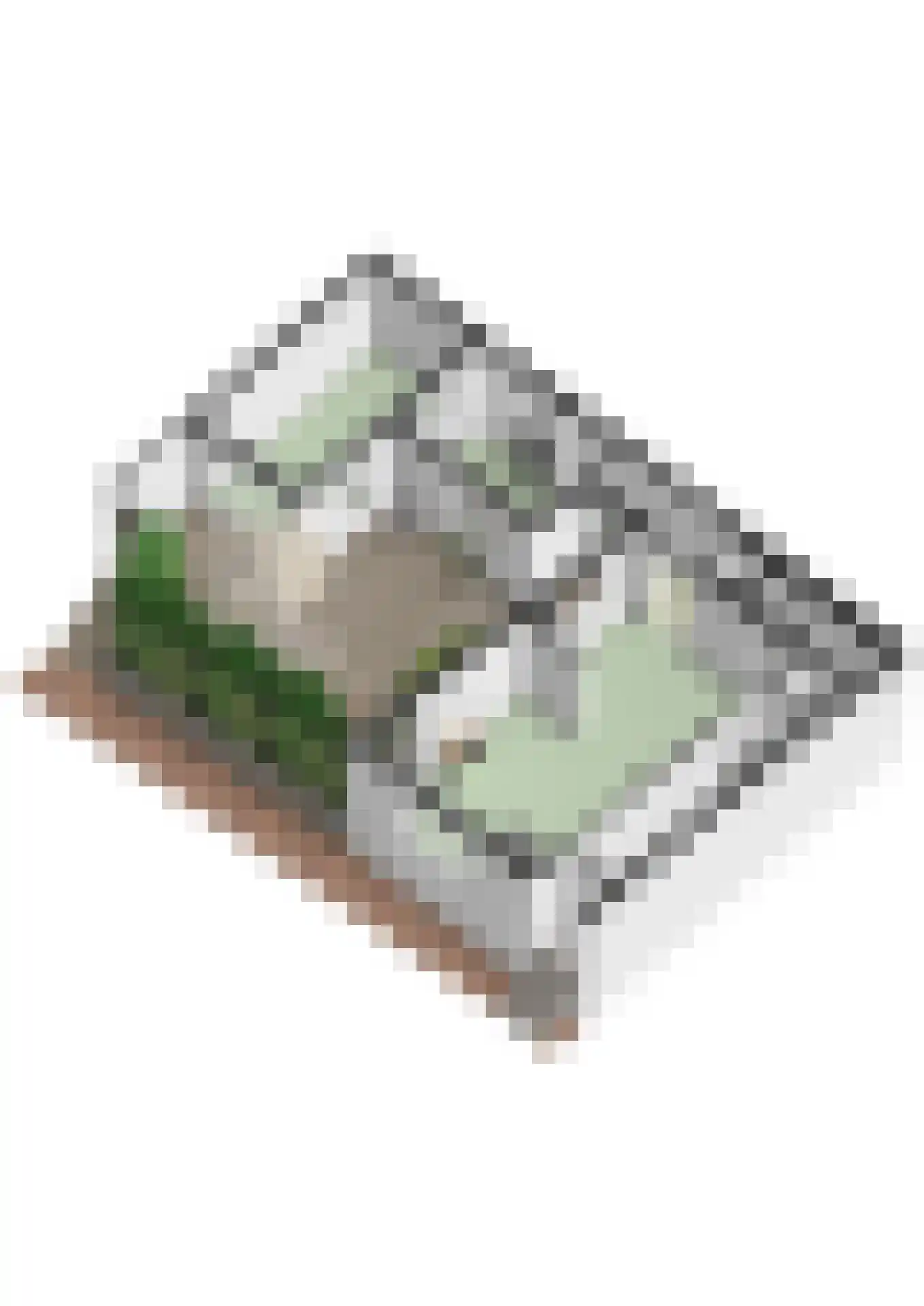 Raadhuisstraat 6 Elsloo thumbnail 67