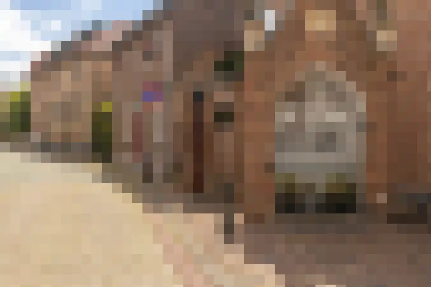 Raadhuisstraat 6 Elsloo thumbnail 7