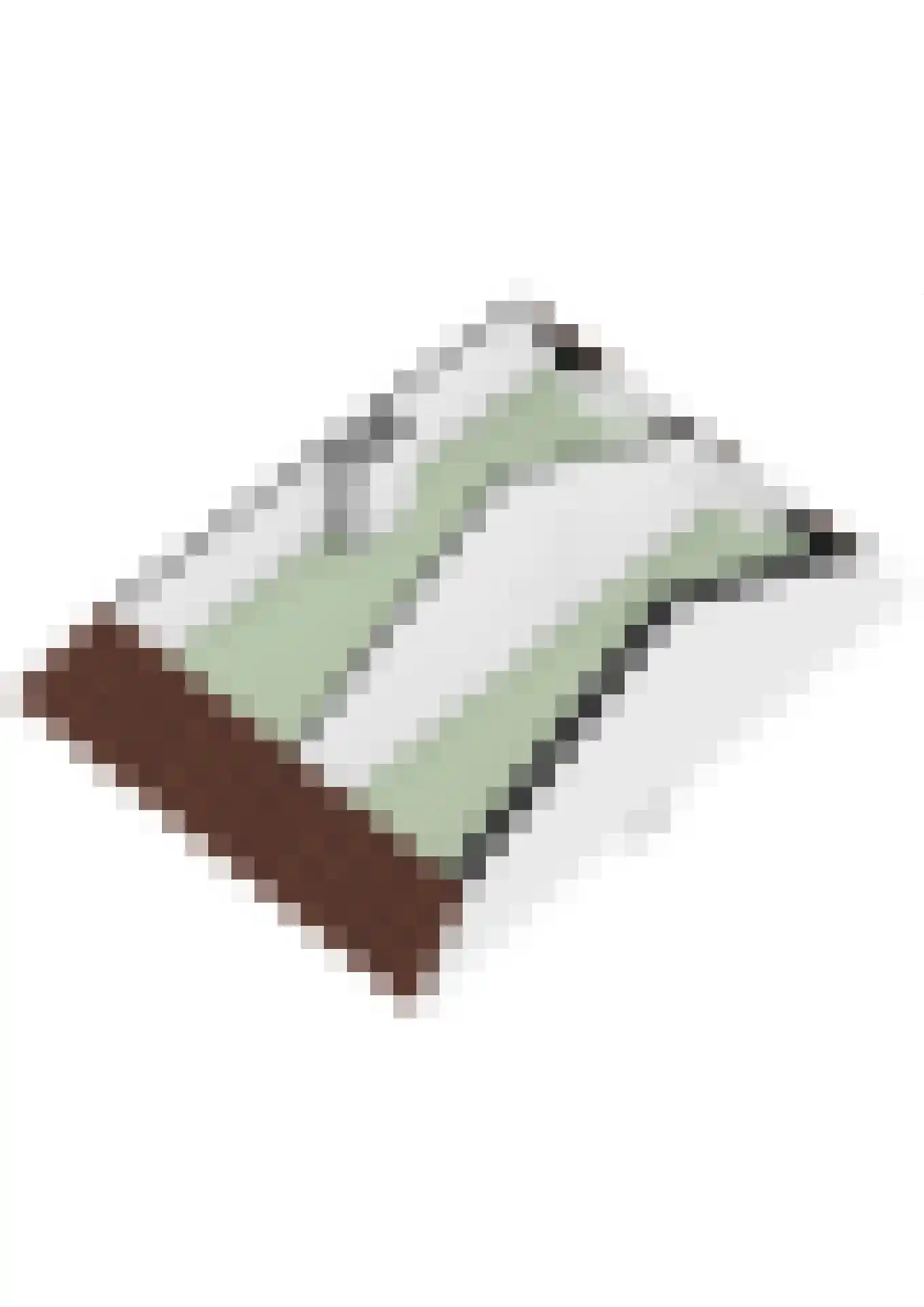 Raadhuisstraat 6 Elsloo thumbnail 73