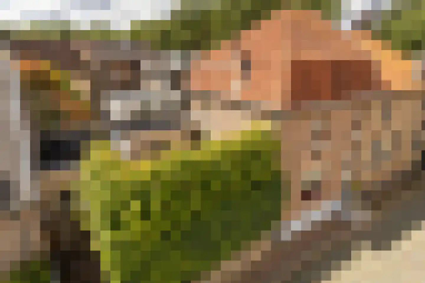 Raadhuisstraat 6 Elsloo thumbnail 8