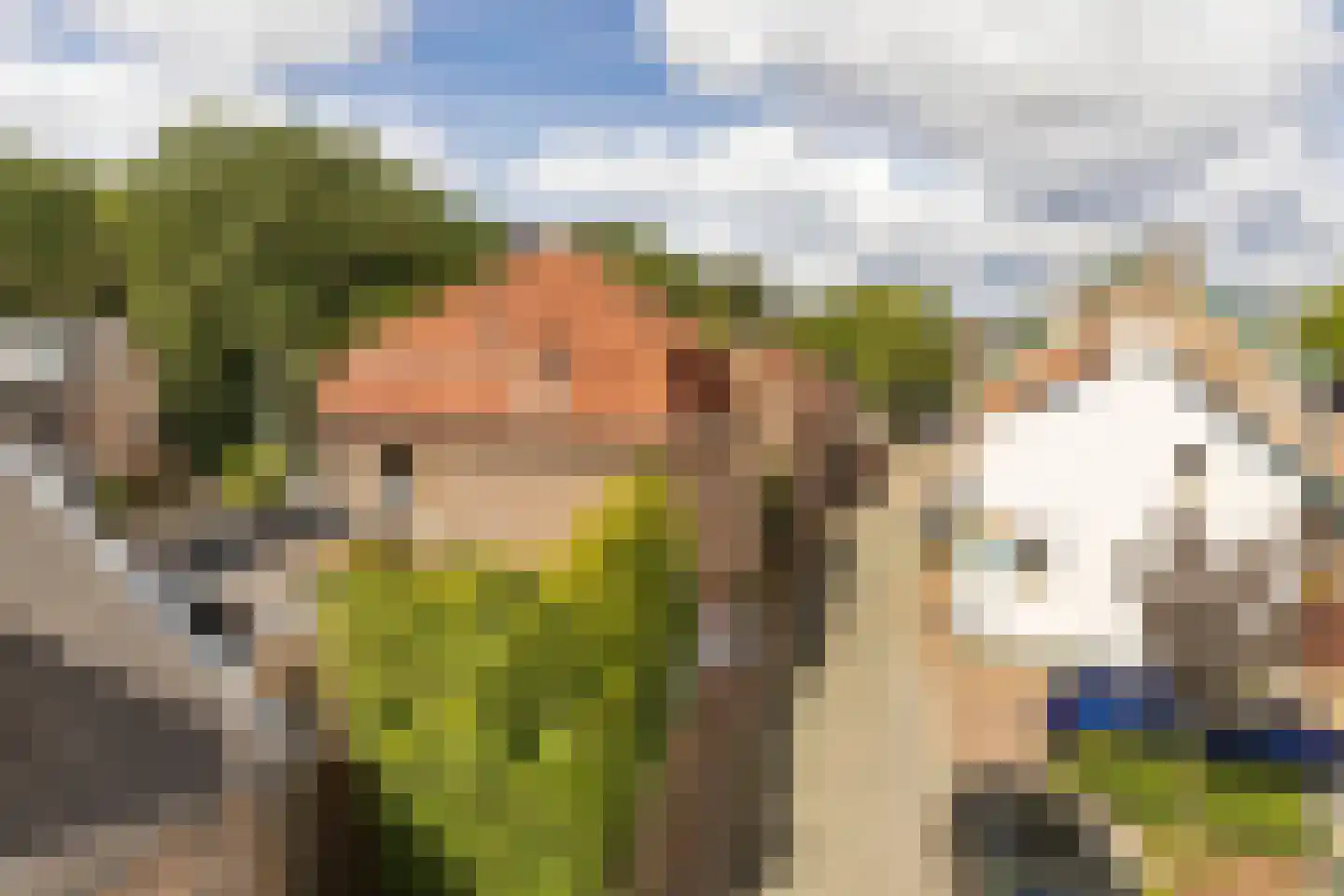 Raadhuisstraat 6 Elsloo thumbnail 9