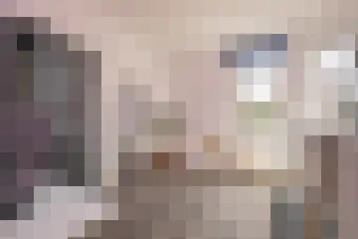 Raadhuisstraat 6 Geleen thumbnail 10