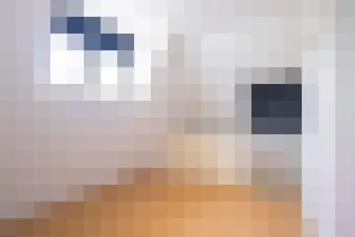 Raadhuisstraat 6 Geleen thumbnail 18
