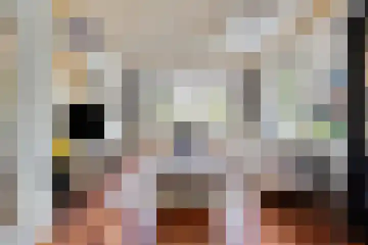 Raadhuisstraat 6 Landsmeer thumbnail 10