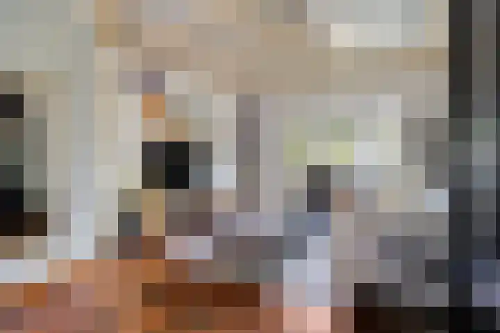 Raadhuisstraat 6 Landsmeer thumbnail 12