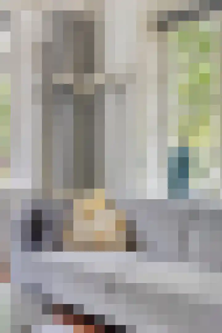 Raadhuisstraat 6 Landsmeer thumbnail 22