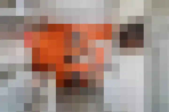 Raadhuisstraat 6 Landsmeer thumbnail 28